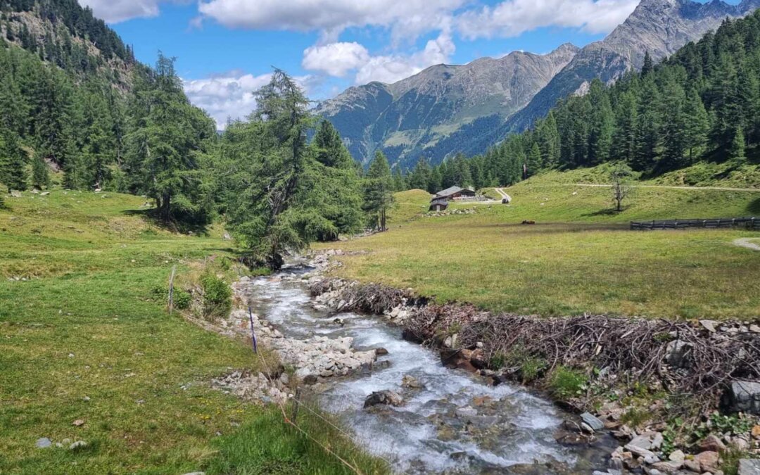 Armelen-Tumpner Alm