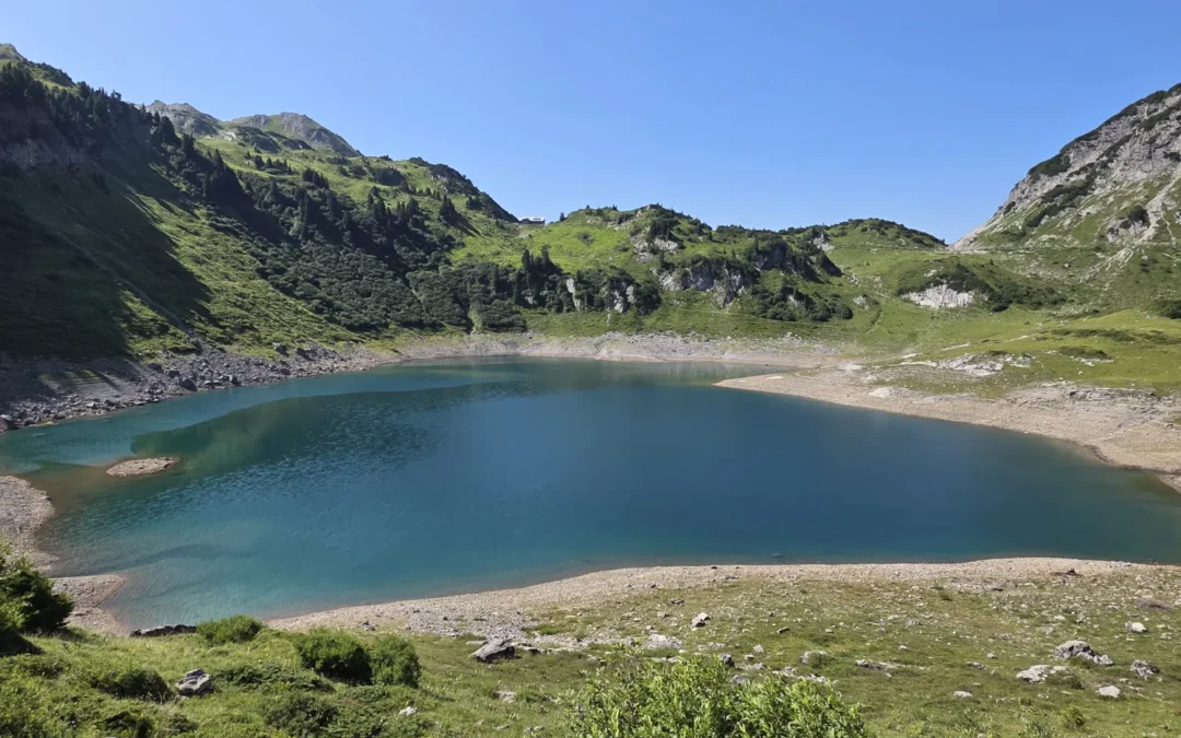 Formarinsee
